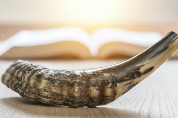 Exploring-the-Sacred-Tradition-of-the-Shofar-A-Symbol-of-Rosh-Hashanah-infopulselive