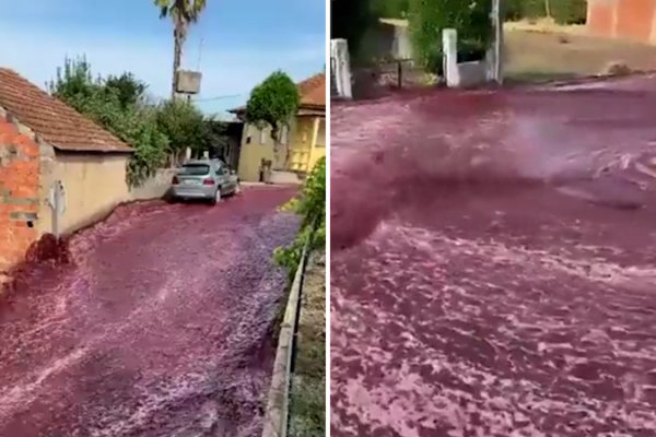 Red-Wine-Deluge-600,000-Gallons-Flood-Portuguese-Village-Streets-infopulselive