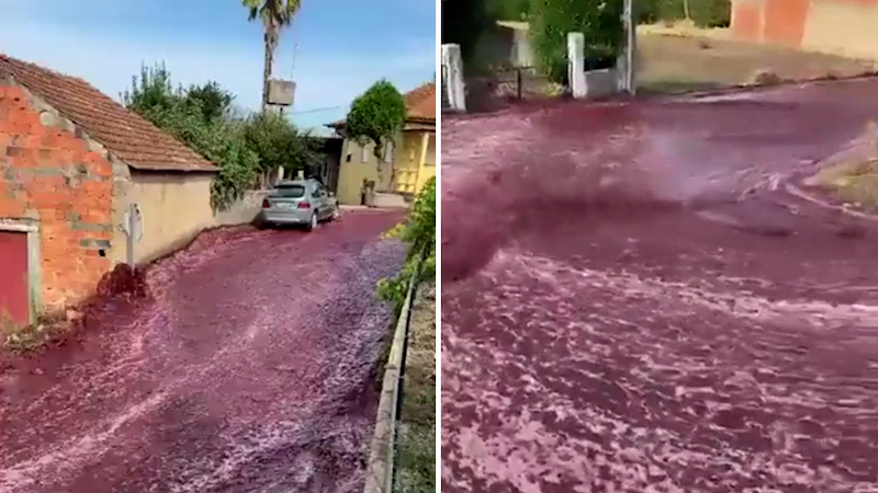 Red-Wine-Deluge-600,000-Gallons-Flood-Portuguese-Village-Streets-infopulselive