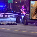 Seattle-Police-Officer-Investigated-Over-Insensitive-Remarks-About-Fatal-Accident-infopulselive